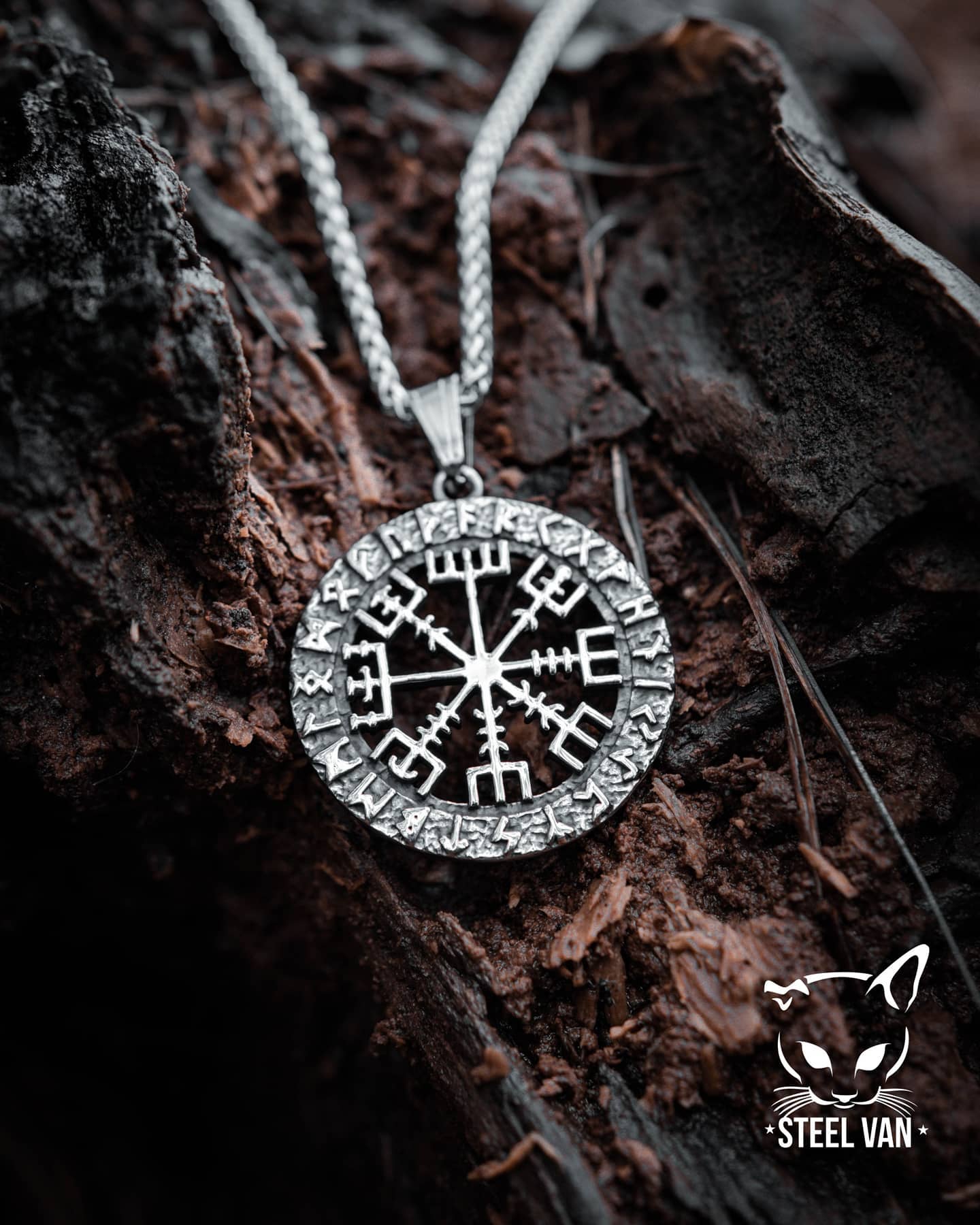 Vegvisir