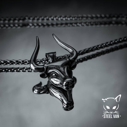 Toro
