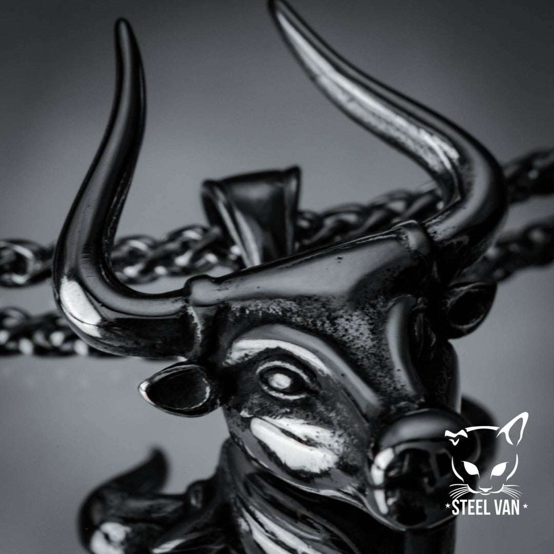 Toro
