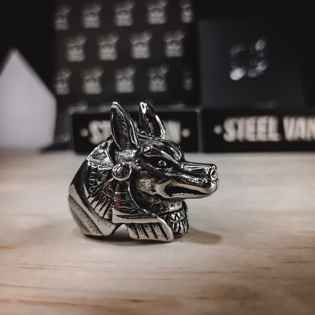 Anillo Anubis – STEELVAN1